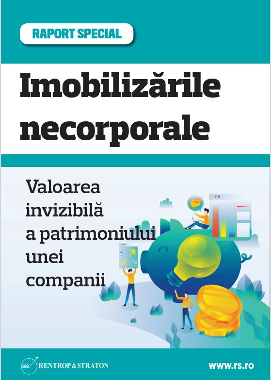 Imobilizările necorporale – Valoarea invizibilă a patrimoniului unei companii